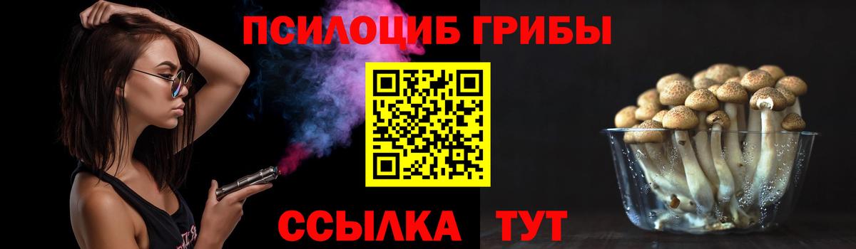 Волгоград  Галлюциногенные грибы мицелий  Вход с VPN 