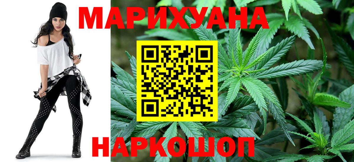 Конопля сатива Волгоград